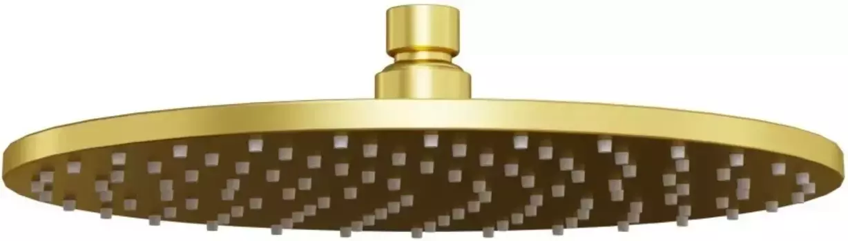 Верхний душ 250 мм Paini 50PJ759TT25