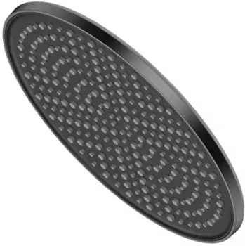 Верхний душ Raglo R451.50.09 250 мм, графит матовый