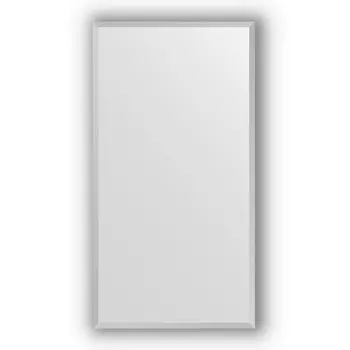 Зеркало 56x106 см сталь Evoform Definite BY 1079