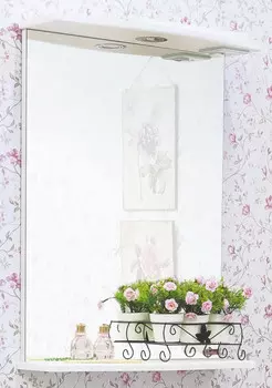 Зеркало 55x72 см белый матовый Sanflor Софи C02652