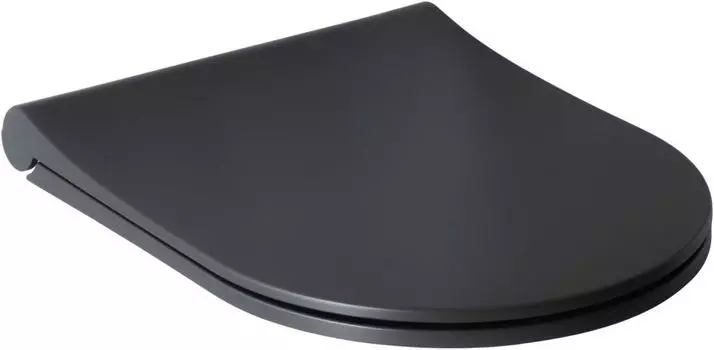 Крышка-сиденье Allen Brau Priority с микролифтом антрацит