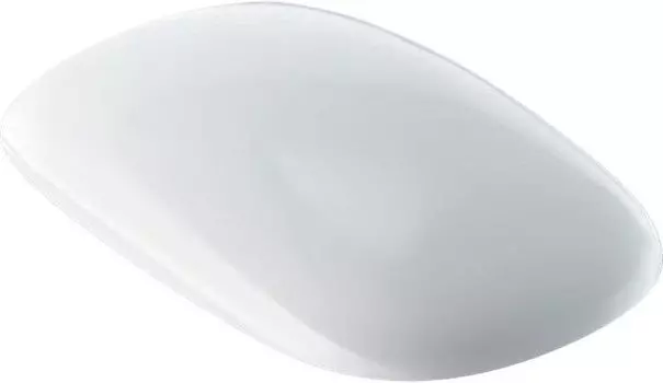 500.540.01.1 GEBERIT сидение для унитаза CITTERIO с микр. (белый)