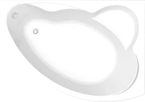 Акриловая ванна Bas Лагуна 170x110 см R