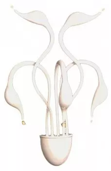 Бра LUMINA DECO Magica LDW 6028-5 WT