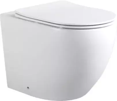 Cetus 2.0 F Унитаз с сидением (Soft Close-SLIMSEAT) напольный приставной с Rimless (243540)