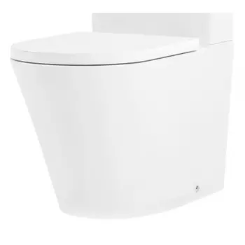 Чаша для напольного унитаза Lavinia Boho Biore Rimless белая без бачка и сиденья