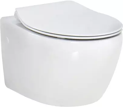 Чаша для подвесного унитаза BelBagno Prospero (BB507B)