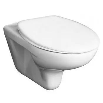 Чаша для унитаза подвесного Roca Mateo 7346200000