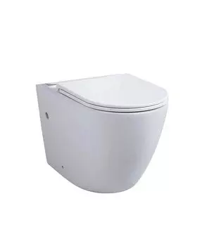 Чаша напольного унитаза Avimano Emotion белый