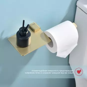 Держатель туалетной бумаги Raglo R301.03.03 золотой сатин