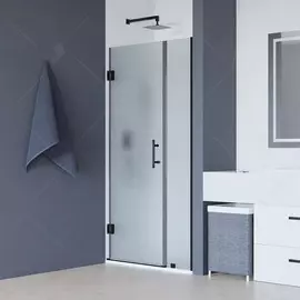 Душевая дверь 120*195 RGW HO-012-B Чёрный/Сатинат/8 мм