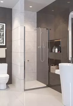 Душевая дверь Alpen A100 100 см (A100N-100)