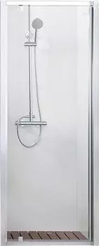 Душевая дверь в нишу Bravat Line BD100.4111A 100x200, распашная