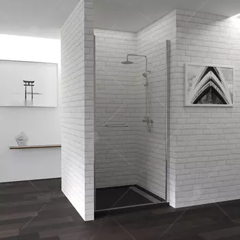 Душевая дверь Rgw Passage (04080309-11)