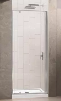Душевая дверь Rgw Passage 100 см (04080209-11)