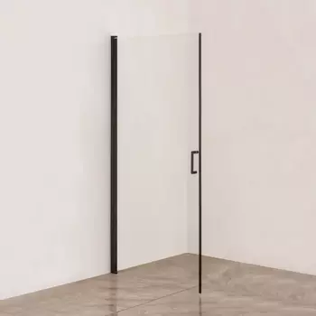 Душевая дверь в нишу DIWO Кострома KS05-100TB 100 см, профиль черный