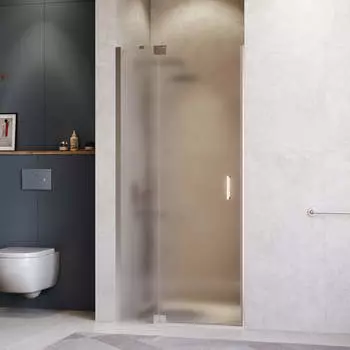 Душевая дверь в нишу RGW Hotel HO-014 1200х2000 профиль хром, стекло матовое