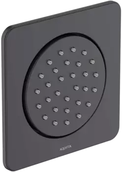 Душевая форсунка AQUATEK AQ2099MB матовая черная