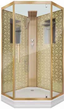 Душевая кабина Niagara Luxe 100х100 золотая стекло прозрачное без гидромассажа