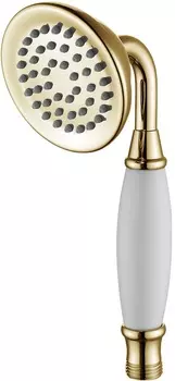 Душевая лейка Lemark LM8007G