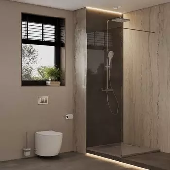 Душевая перегородка Allen Brau Infinity 1 3.21014.BA.T 100 см, профиль серебро браш, стекло тонированное