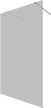 Душевая перегородка Allen Brau Infinity 2 3.21044.BA.T 120 см, профиль серебро браш, стекло тонированное