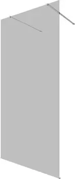 Душевая перегородка Allen Brau Infinity 2 3.21038.BA.T 100 см, профиль серебро браш, стекло тонированное