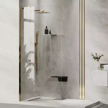 Душевая перегородка Wasserkraft Aisch 55W39