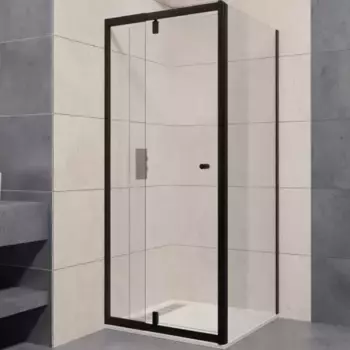 Душевой уголок RGW Passage 100х80 черный стекло прозрачное