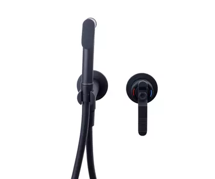 Гигиенический душ Bronze de Luxe 1760'S LOFT матовый черный (3253SB)