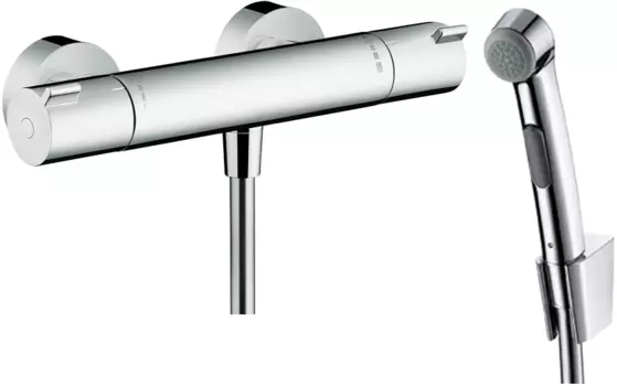 Гигиенический душ Hansgrohe Ecostat 1001 CL 13211000
