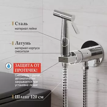 Гигиенический душ Paini Castello Round CACR442R со смесителем, С ВНУТРЕННЕЙ ЧАСТЬЮ, хром