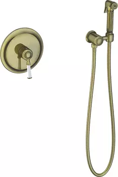 Гигиенический душ Timo Arisa 5309/02SM со смесителем