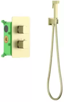 Гигиенический душ встроенный Timo Petruma золотой