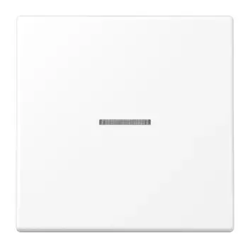 Клавиша 1-ная с линзой Jung LS990 LS990KO5WWM