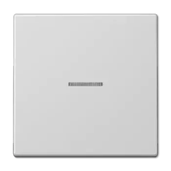 Клавиша 1-ная с линзой Jung LS990 LS990KO5LG