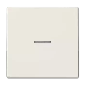 Клавиша 1-ная с линзой Jung LS990KO5