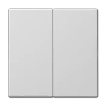 Клавиша 2-ная Jung LS990 LS995LG