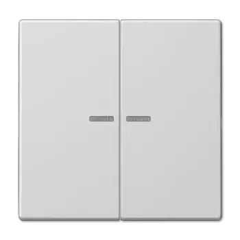 Клавиша 2-ная с 2-мя линзами Jung LS990 LS995KO5LG