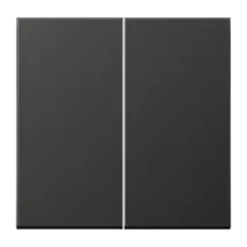 Клавиша 2-я Jung LS 990 AL2995AN