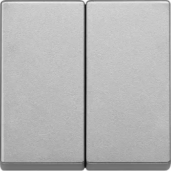 Клавиша двойная Schneider Electric Merten System M MTN433560