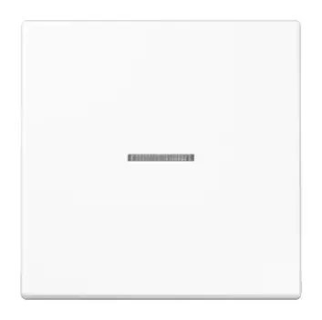 Клавиша с линзой Jung LS990KO5WW