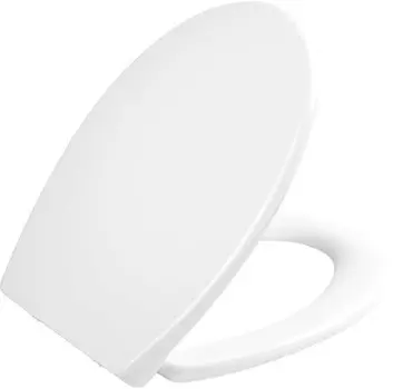 Крышка-сиденье BelBagno Prospero BB2004SC