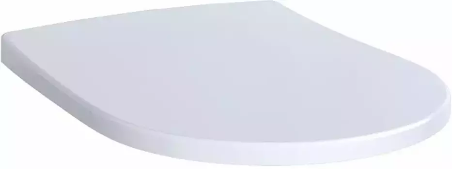 Крышка-сиденье для унитаза Geberit Acanto с микролифтом