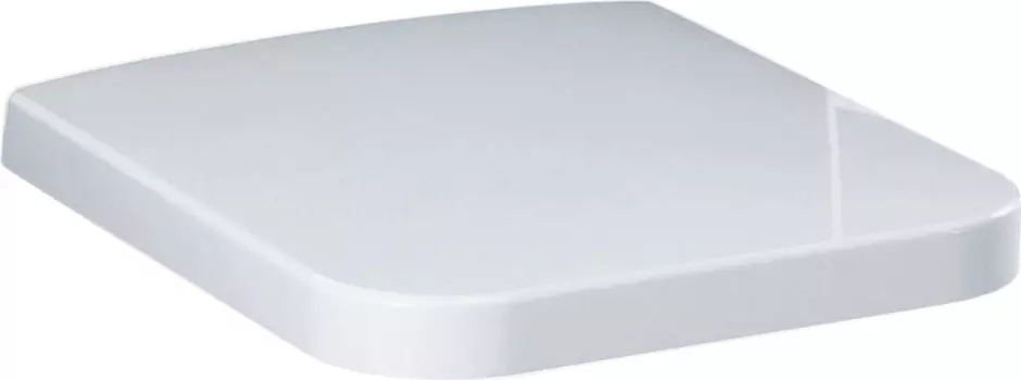 Крышка-сиденье Simas Flow FL28 с микролифтом, петли хром