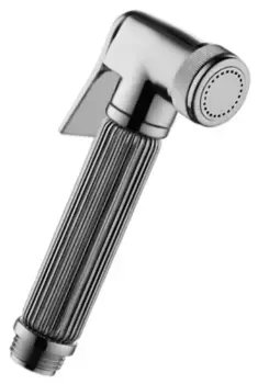 Лейка для гигиенического душа Frap хром