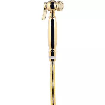 Лейка для гигиенического душа Kaiser золотая глянцевая