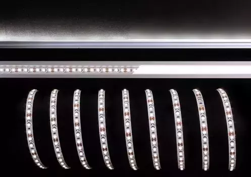 Лента светодиодная Deko-Light 840167