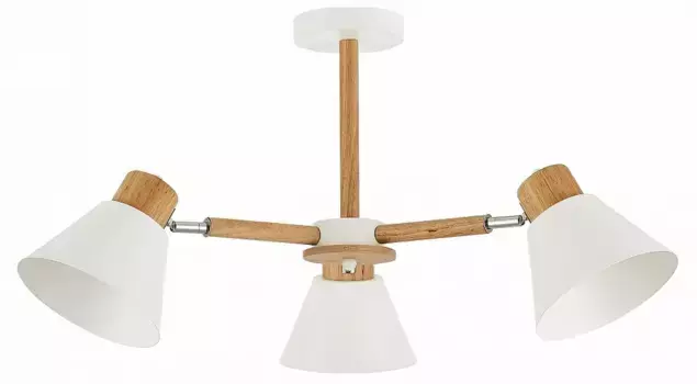 Люстра на штанге EVOLUCE Buve SLE103702-03