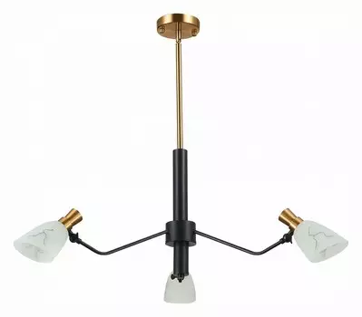 Люстра на штанге EVOLUCE Lita SLE205403-03